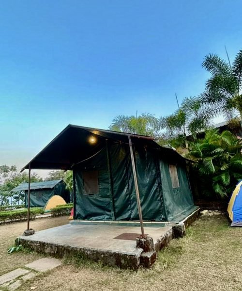 0f98a9d5-7832-46a1-82d1-3d8126941dad